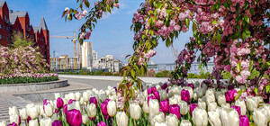 Яка погода буде у Дніпрі на вихідних