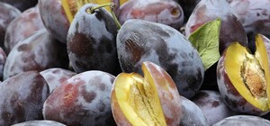 Де цими вихідними у Києві пройдуть продуктові ярмарки. Адреси